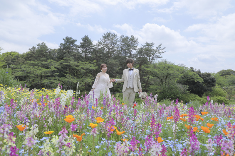 新緑シーズン到来!