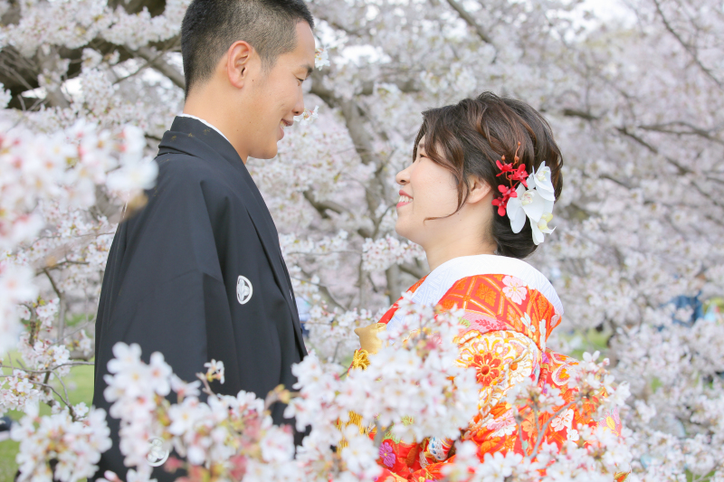 桜に囲まれて。