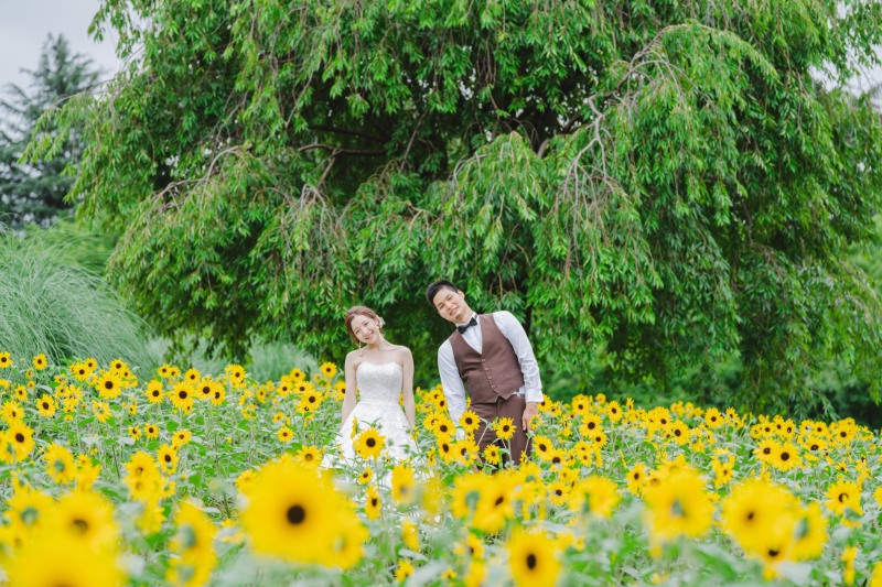 ひまわりいっぱい！