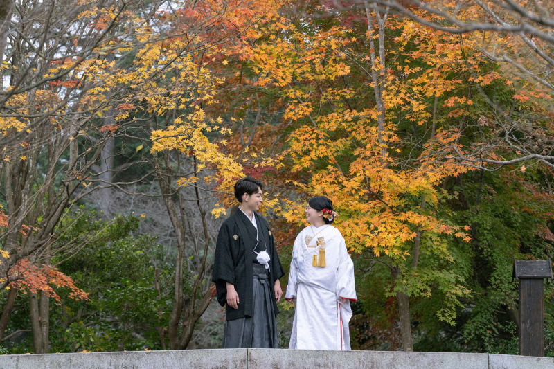 オレンジの紅葉で