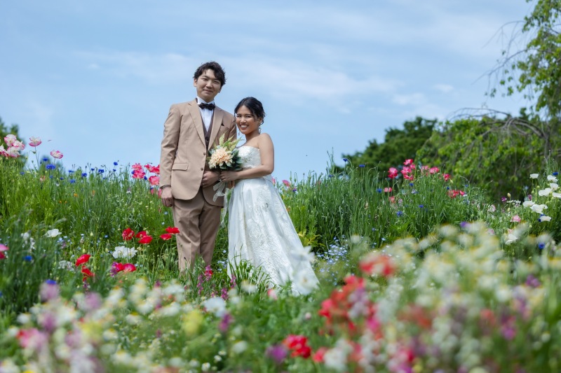 色とりどりの花々