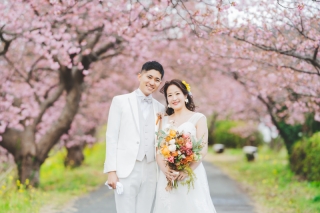 河津桜の開花状況