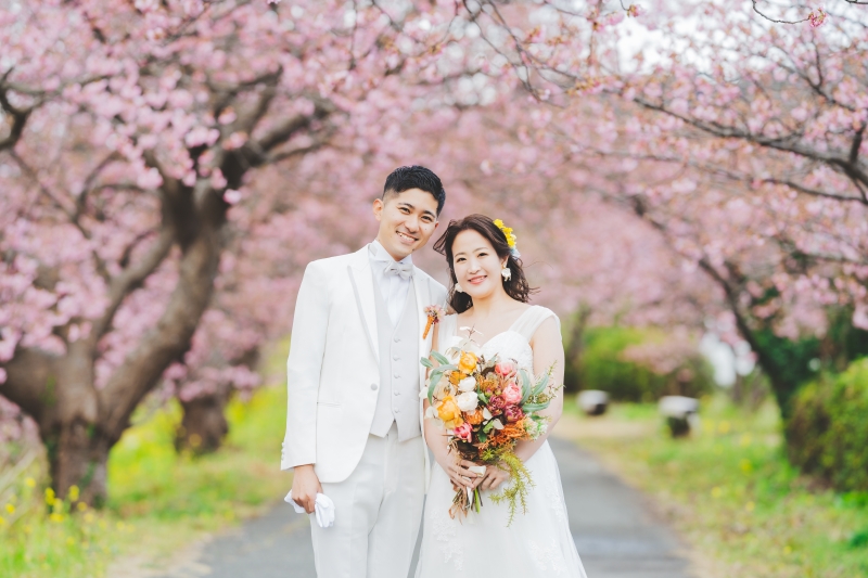 河津桜の開花状況