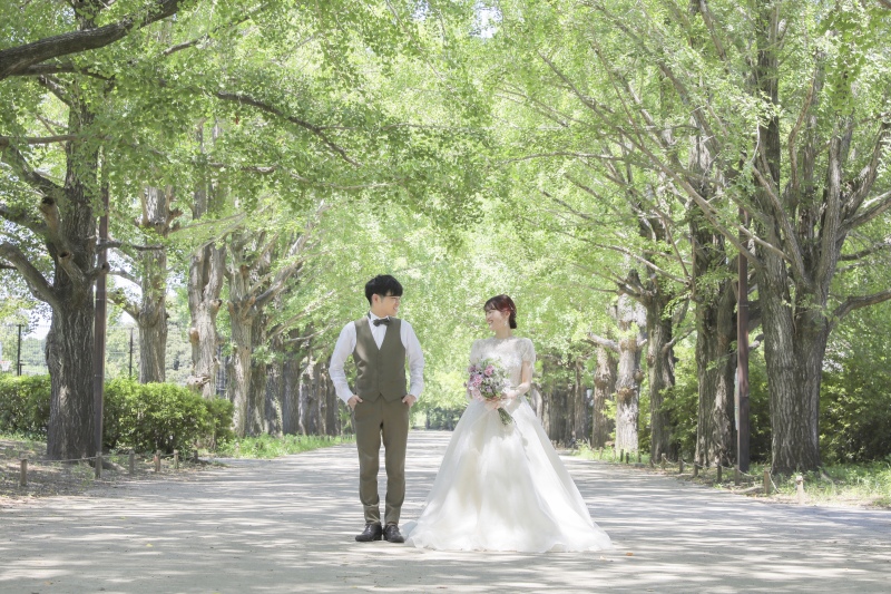 爽やかな夏の日