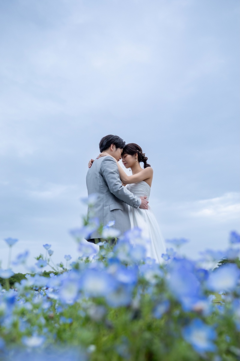青い絨毯