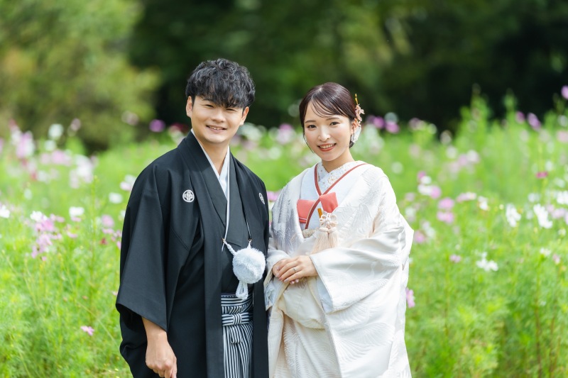 コスモスと一緒に