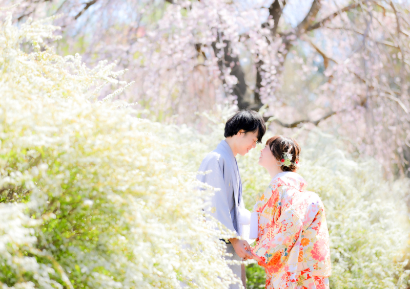 ユキヤナギに埋もれて