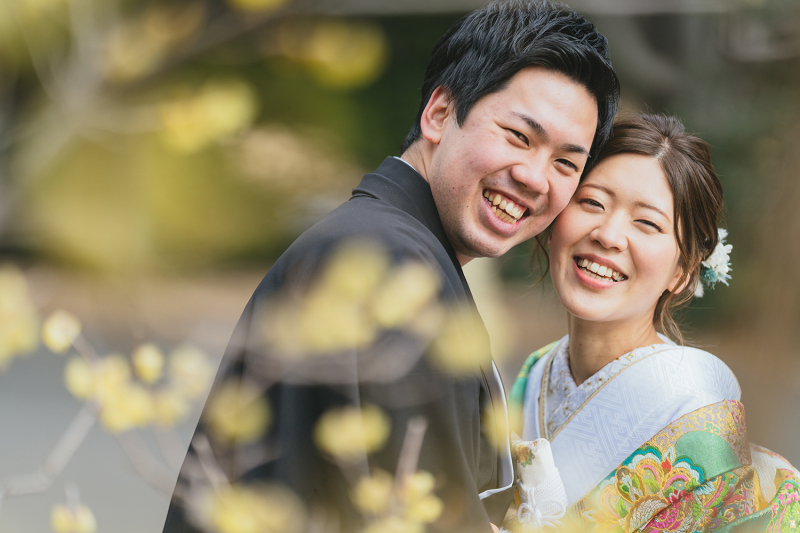 ロウバイが綺麗