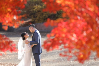 昭和記念公園ロケーション