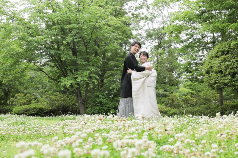 春らしいシロツメクサと