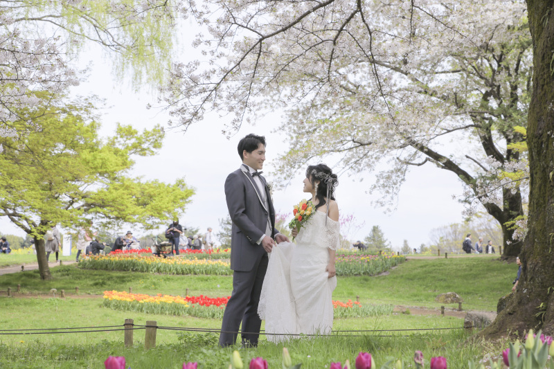 チューリップ畑。