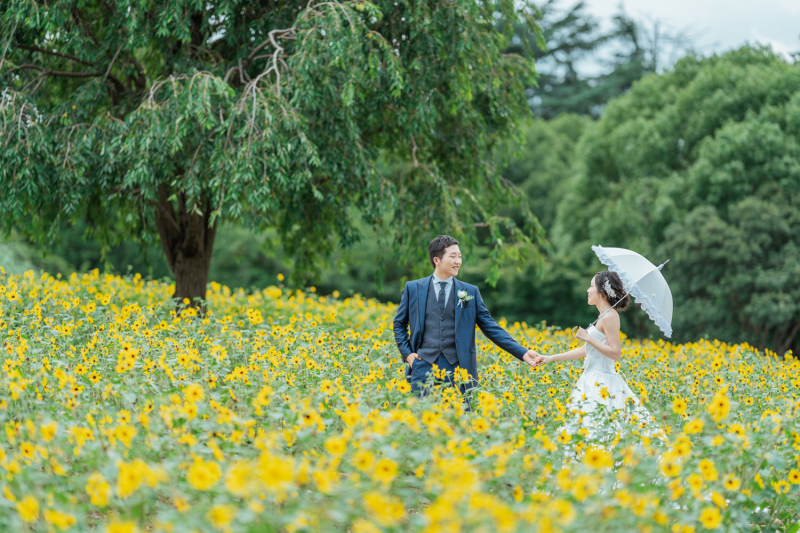 黄色と緑のコントラスト