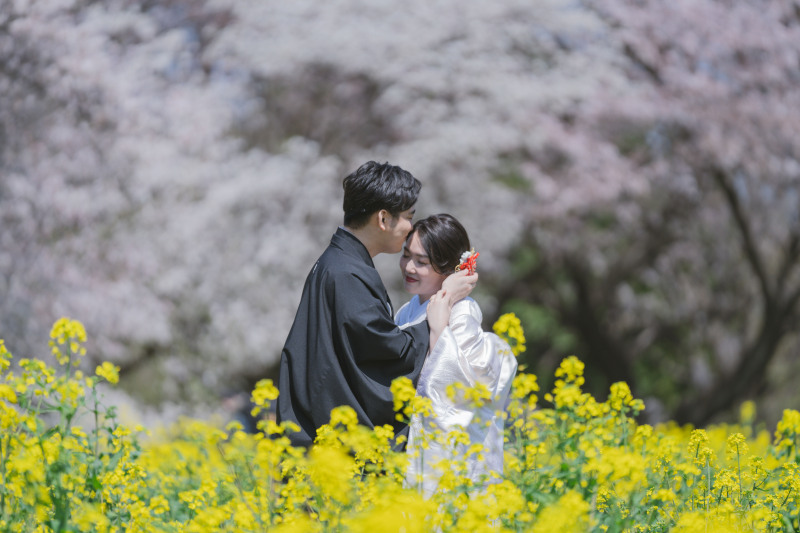 柔らかい色合い