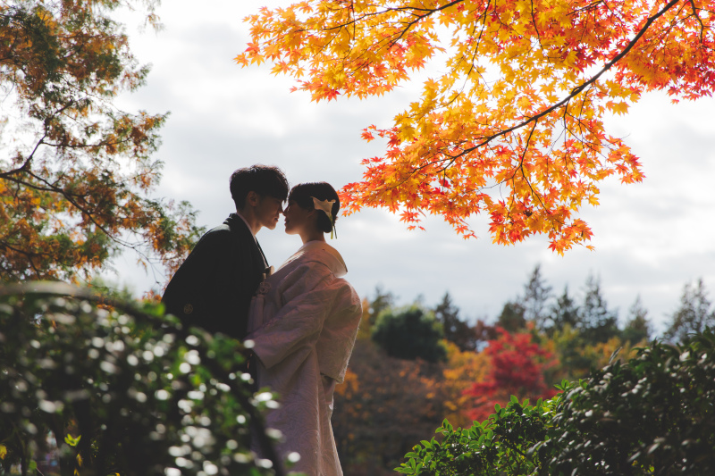 紅葉とイチョウ6