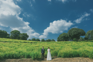 コスモスロケーション