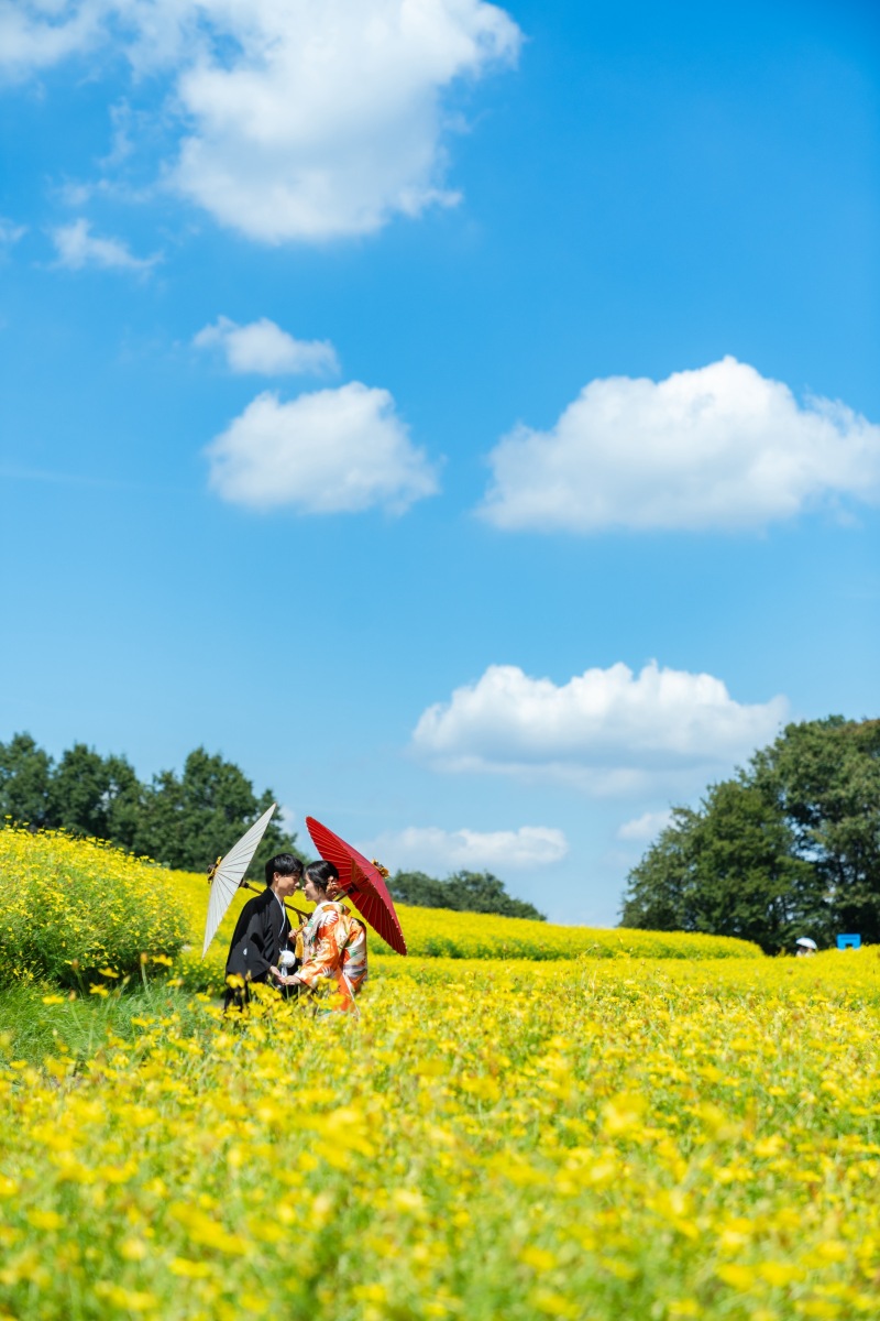 色鮮やかな一枚