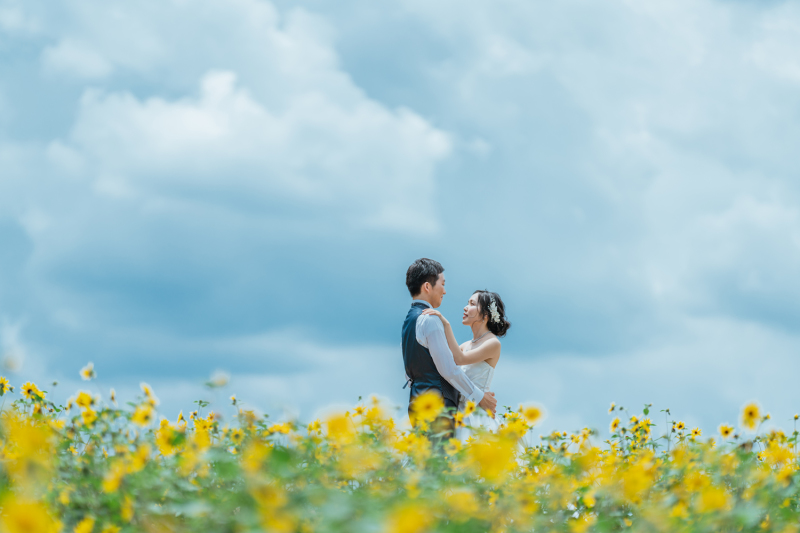 ひまわりと青空