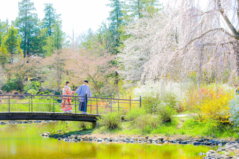 春ロケーション