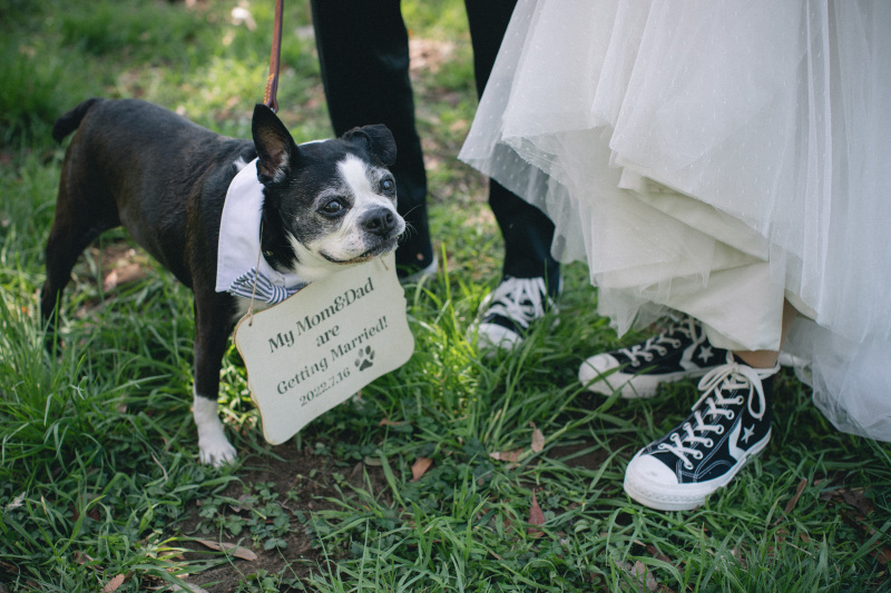 STUDIO AQUA 立川店（スタジオAQUA）_ペットと一緒に撮影できる