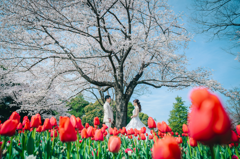 STUDIO AQUA 立川店（スタジオAQUA）_人気スポットで撮影できる