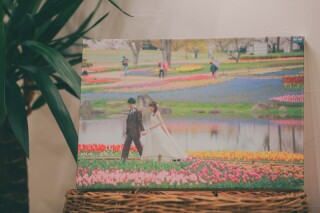 キャンバスボード