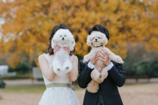 ペットと一緒に撮影