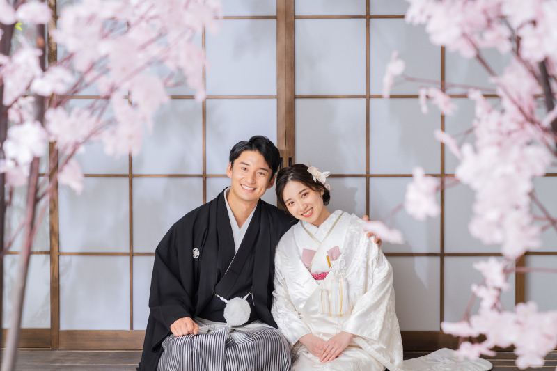 ほがらかな優しい桜色と共に