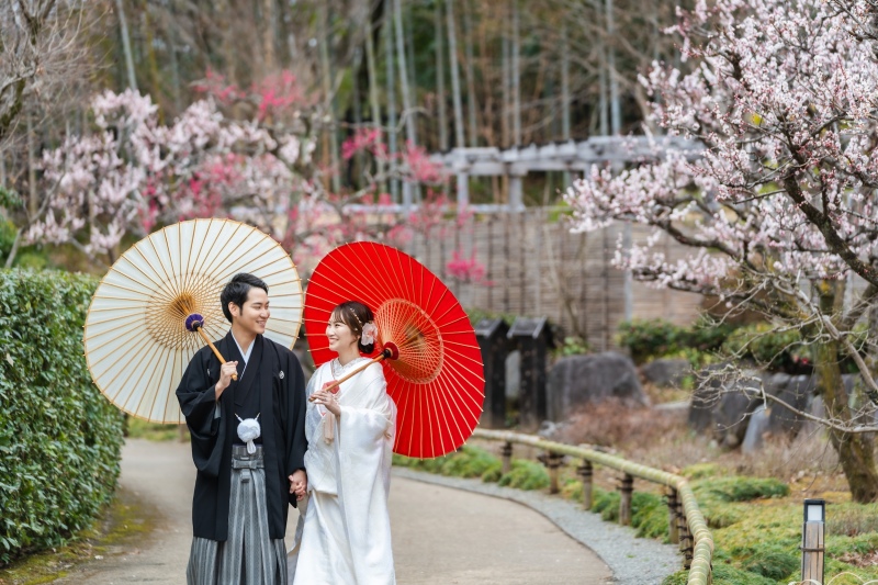 撮影スポット画像