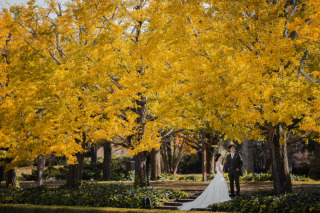 STUDIO AQUA 立川店(スタジオAQUA)_昭和記念公園【洋装】ロケーション