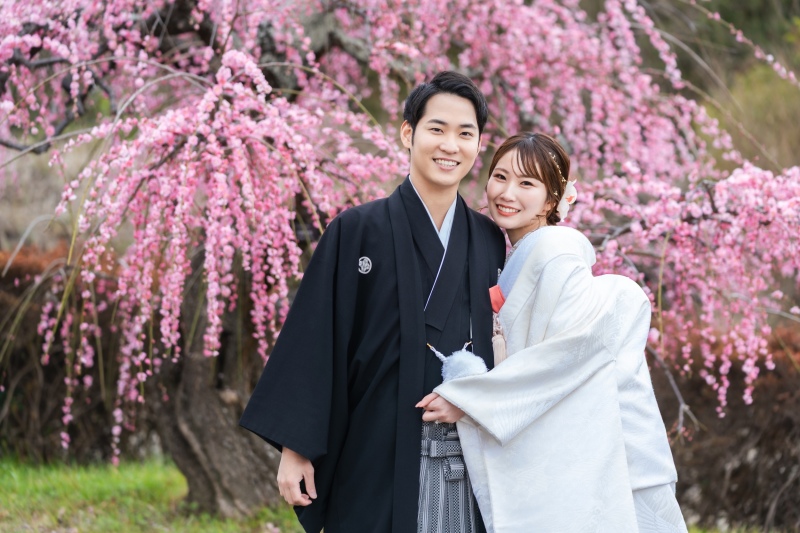 撮影スポット画像