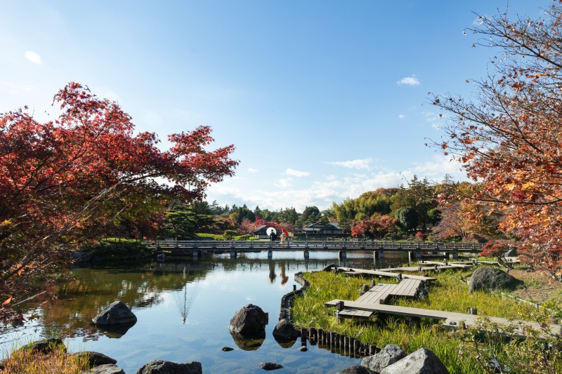 西森清二の作品