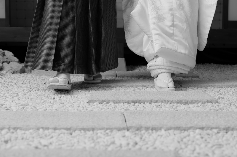 朝田　彩椰の作品