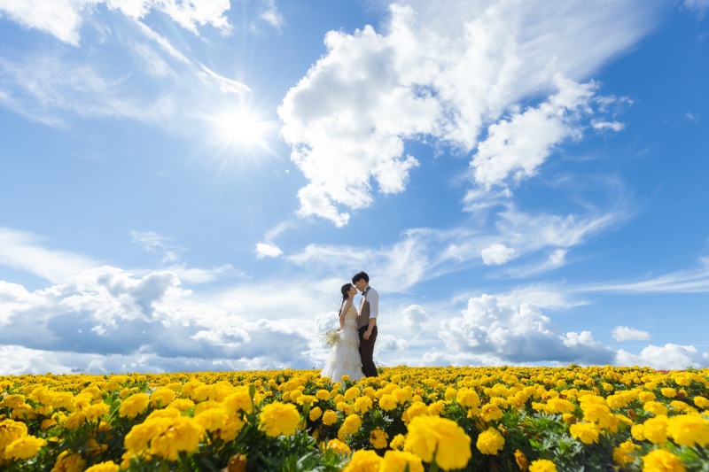 西森清二の作品