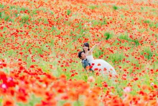 昭和記念公園で撮影した1枚。赤と緑のコントラストを意識しました。