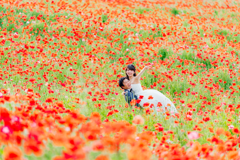 昭和記念公園で撮影した1枚。赤と緑のコントラストを意識しました。