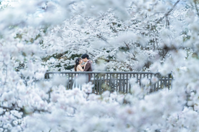 西森清二の作品