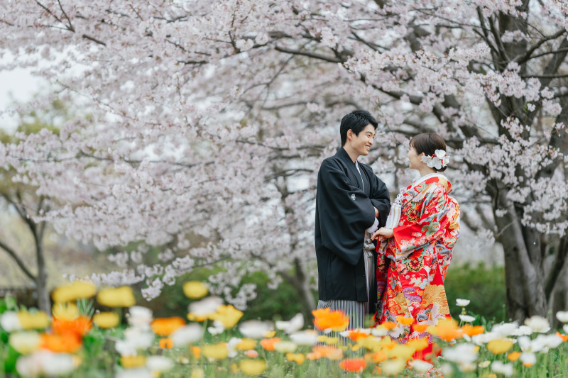 シーズン料金無料【昭和記念公園和装1箇所プラン】大満足の200カット以上データ＆アルバム付)写真台紙1冊もついてくる