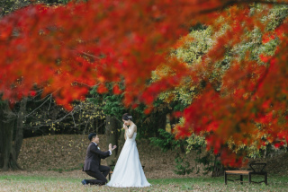 壮大な広さを誇る公園で、緑や紅葉、お花畑のなか撮影できる♪