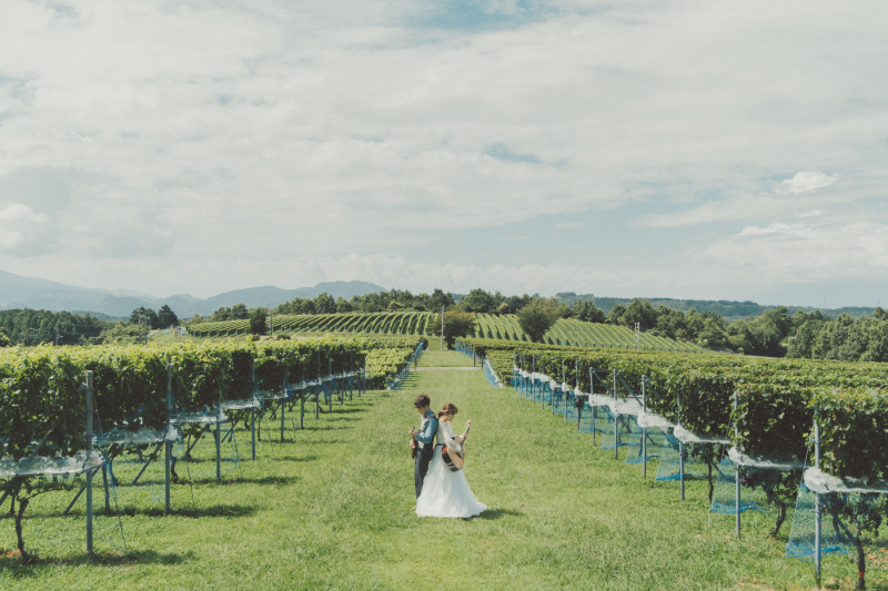 ぶどう畑でセッション