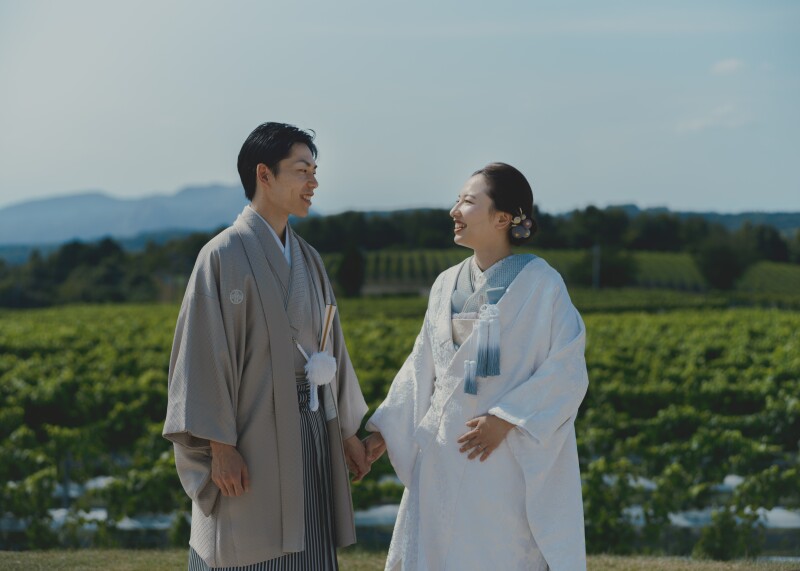 深緑のぶどう畑