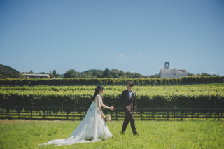 ワイナリー全景を捉えた眺望で…