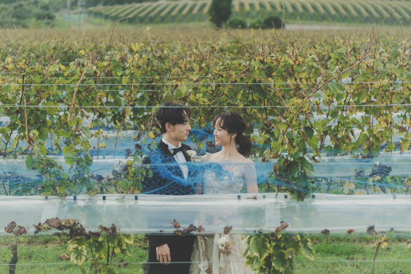 ぶどうの葉の色づき