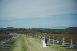 空が高く感じる秋のワイナリーローケーション撮影