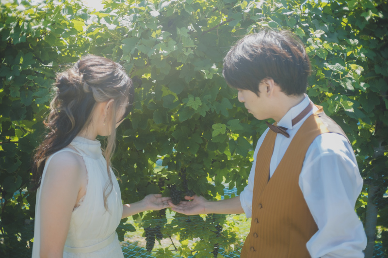 葡萄もたくさん実っています!