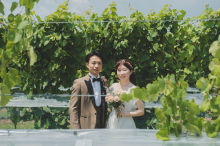 ８月はぶどう畑のベストシーズン