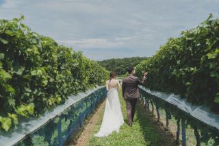夏のぶどう畑に囲まれての撮影♪
