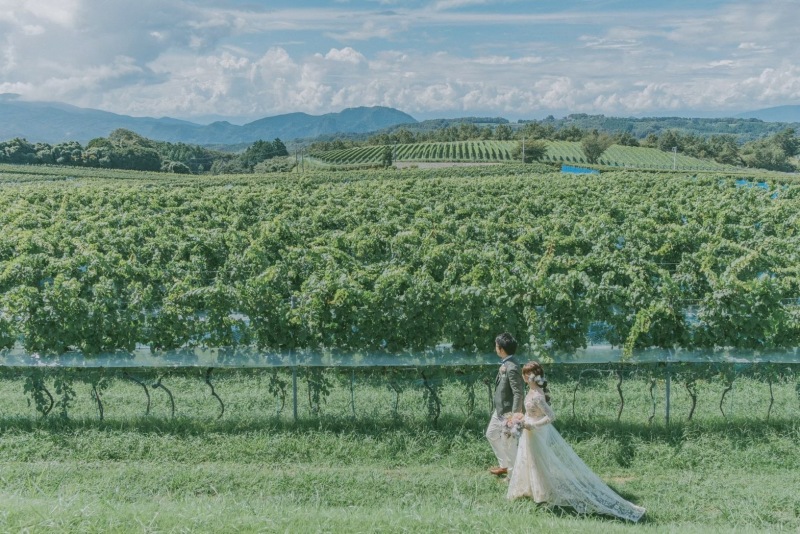 中伊豆ワイナリーシャトーt S 静岡県でフォトウェディング探すならphotorait