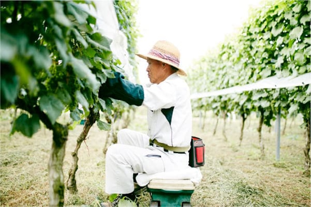 Point1 多彩な撮影シーン