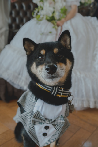 中伊豆ワイナリーシャトーT.S_PICK UP