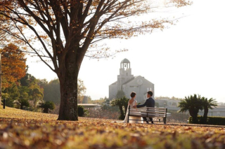 中伊豆ワイナリーシャトーT.S_PICK UP